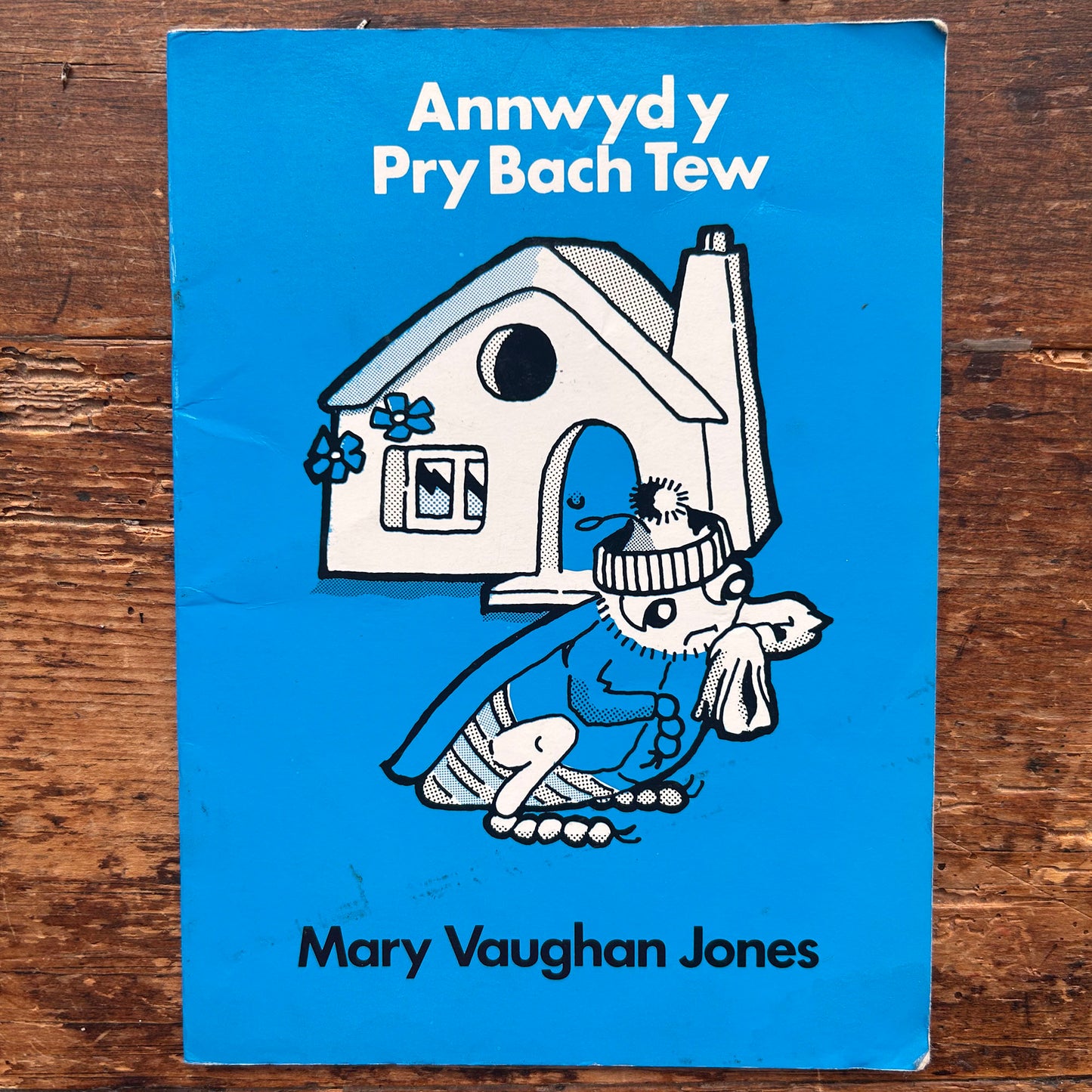 Annwyd y Pry Bach Tew - Mary Vaughan Jones - Stori 3 (Preloved)