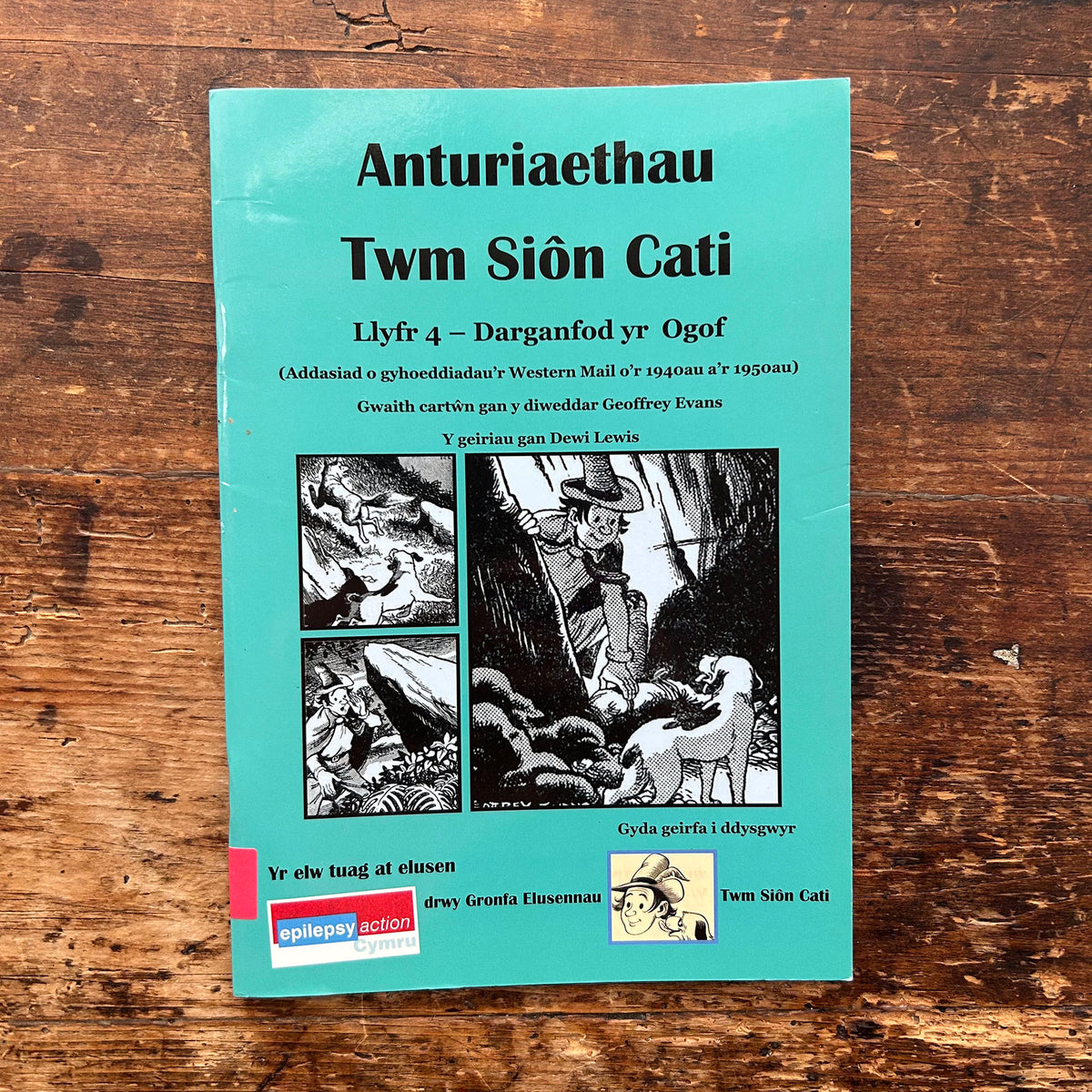 Anturiaethau Twm Sion Cati: Llyfr 4 - Darganfod yr Ogof - Dewi Lewis (Preloved)