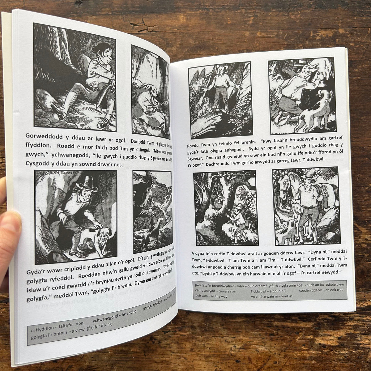 Anturiaethau Twm Sion Cati: Llyfr 4 - Darganfod yr Ogof - Dewi Lewis (Preloved)