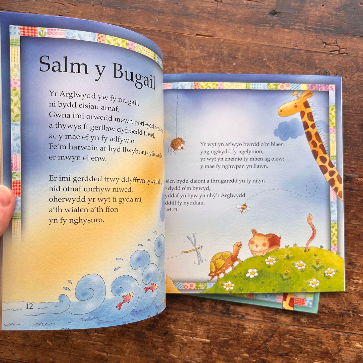 Ar Achlysur Arbennig - Tri Llyfr i'w Trysori (Preloved / like new)