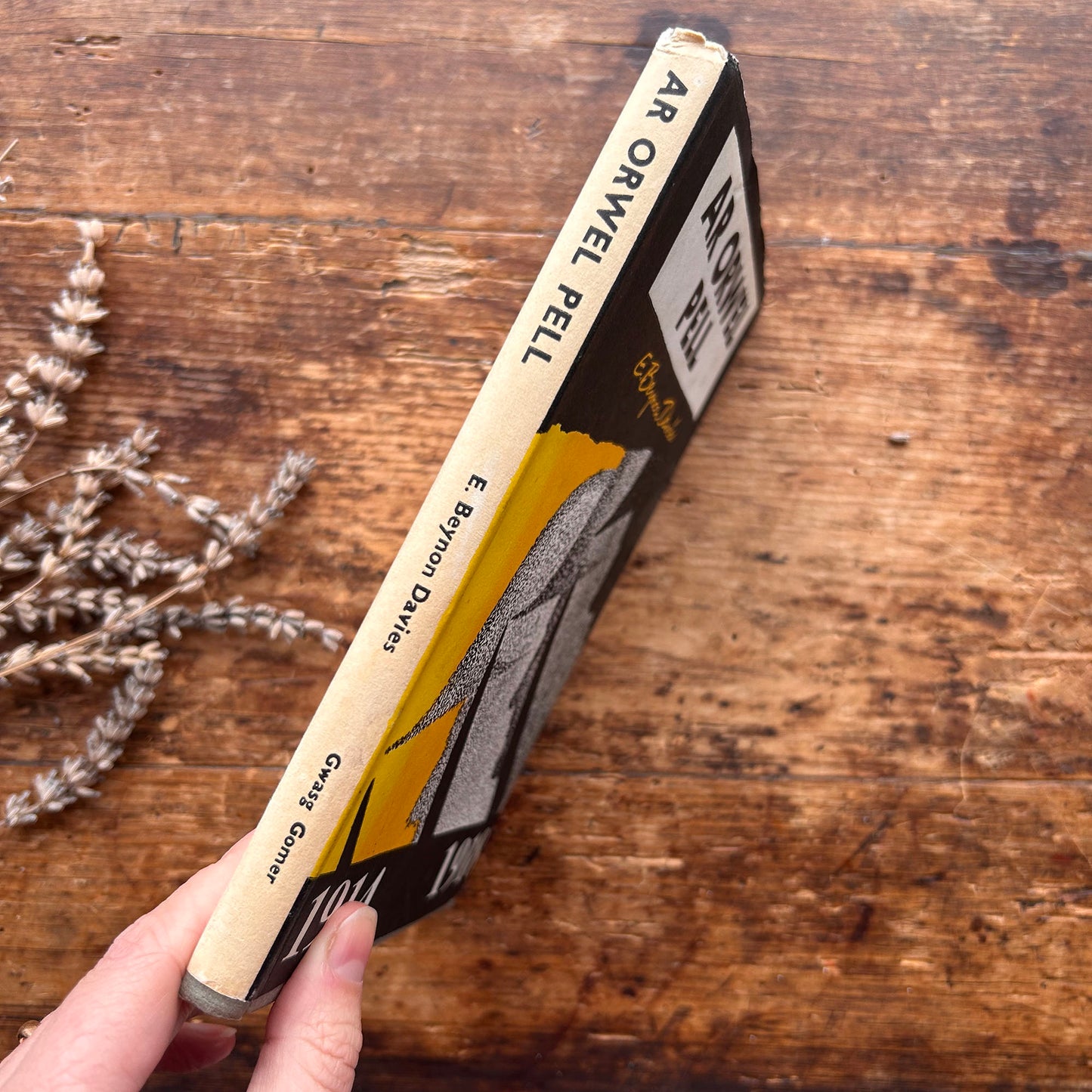 Ar Orwel Pell - 1914-1918 - E. Beynon Davies - 1965 1st edition (Preloved)