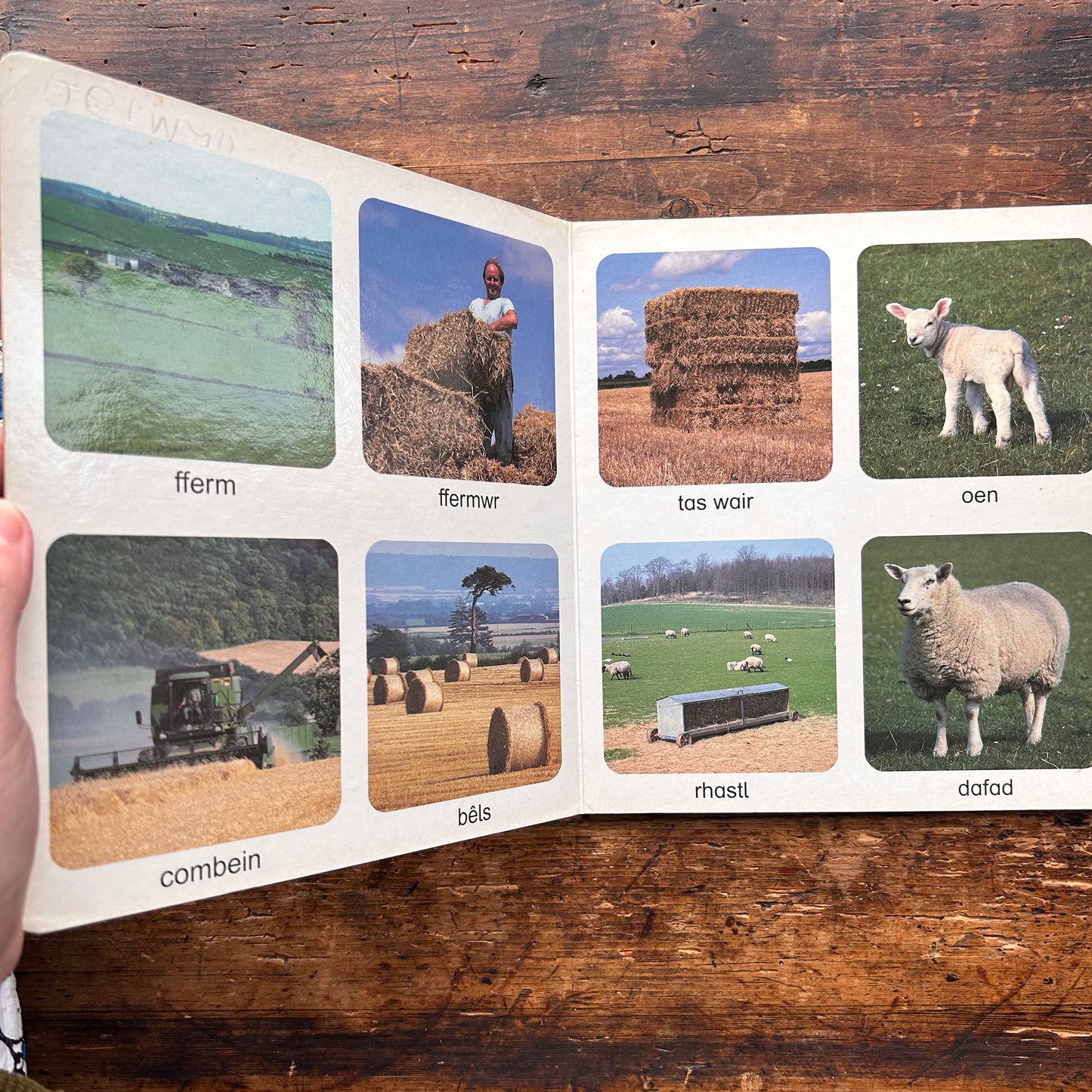 Ar y Fferm - llyfr gair-a-llun i blank bach (Preloved)