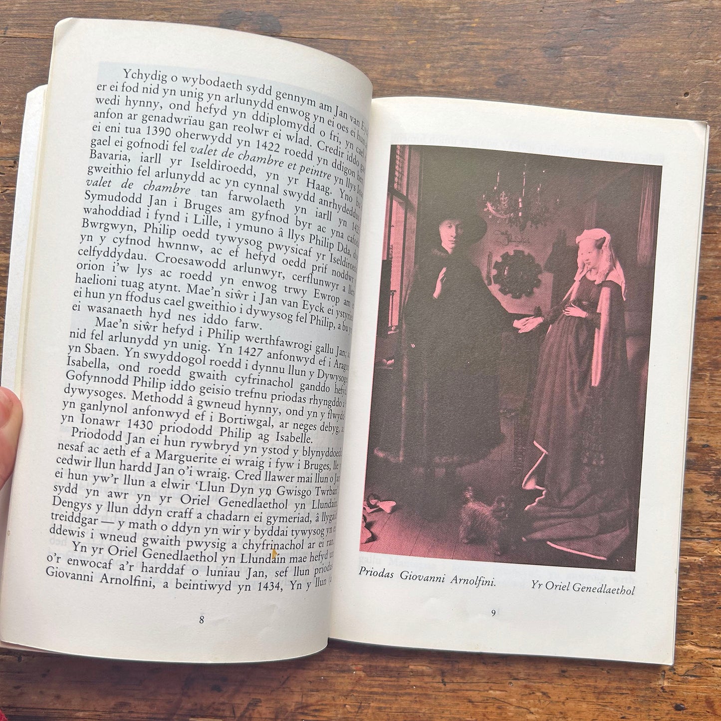 Arlunwyr Enwog - Cyfres Enwogion y Byd 9 (Preloved)