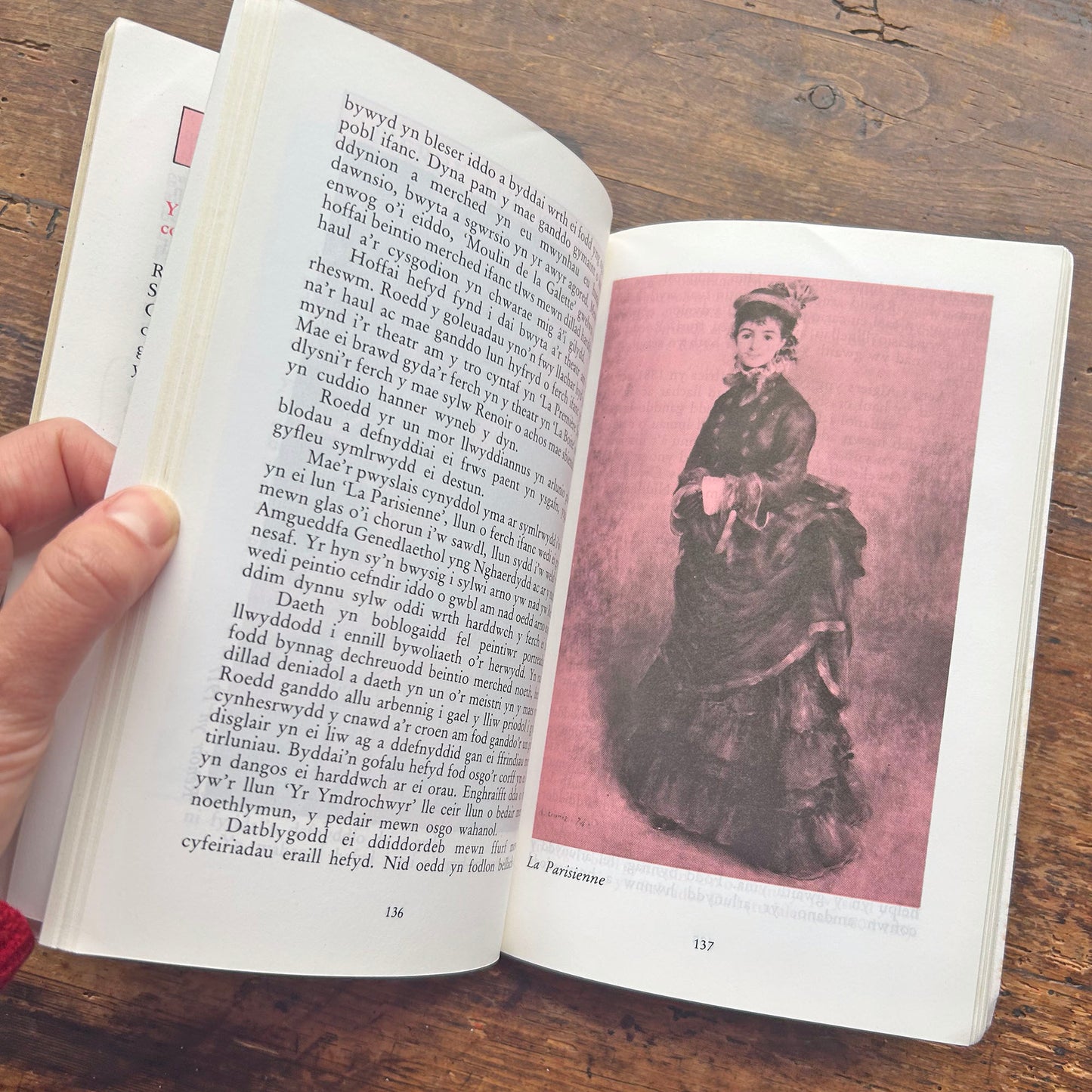 Arlunwyr Enwog - Cyfres Enwogion y Byd 9 (Preloved)