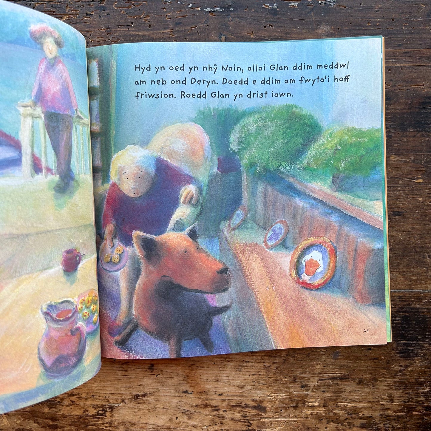 Awel a Glan a'u Ffrind Newydd - Jane Simmons (Preloved)