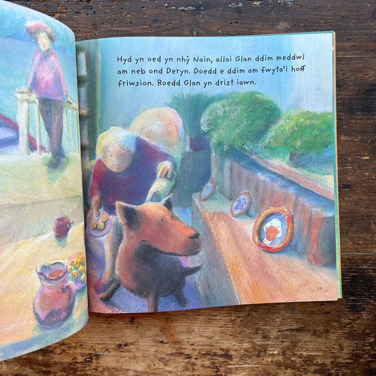 Awel a Glan a'u Ffrind Newydd - Jane Simmons (Preloved)