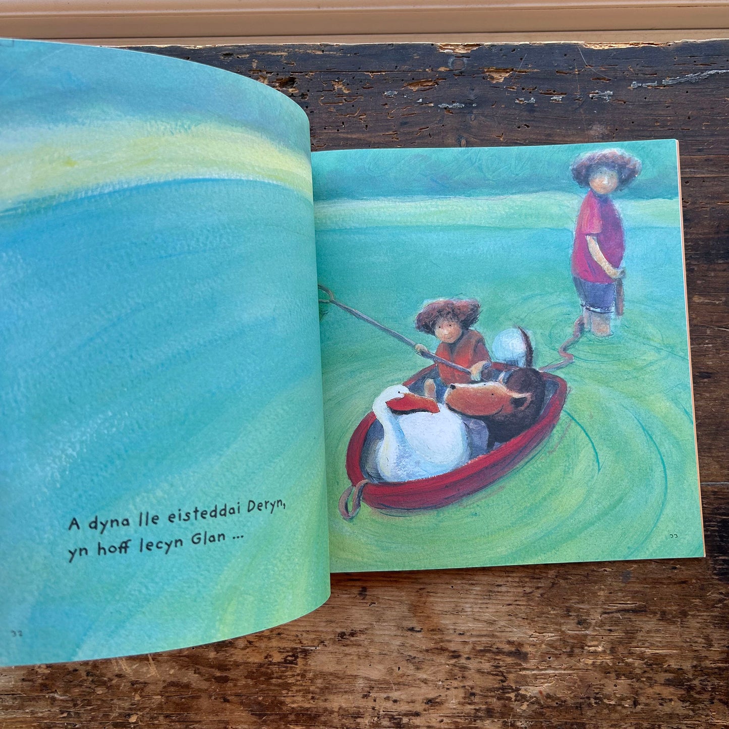 Awel a Glan a'u Ffrind Newydd - Jane Simmons (Preloved)