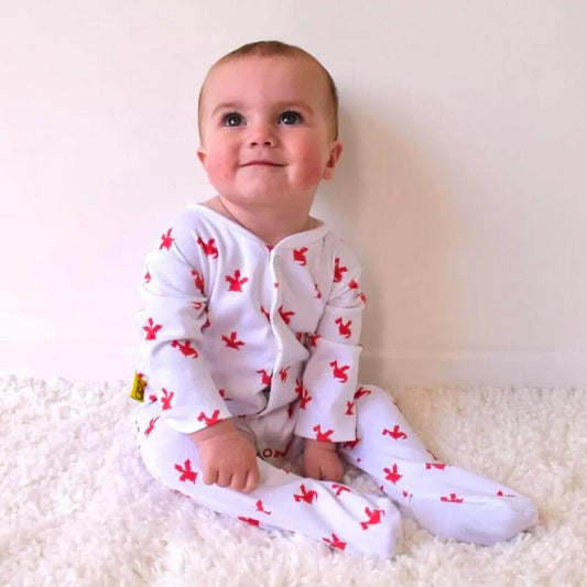 Baby Sleepsuit - Organic Cotton – Red Dragons - Personalised