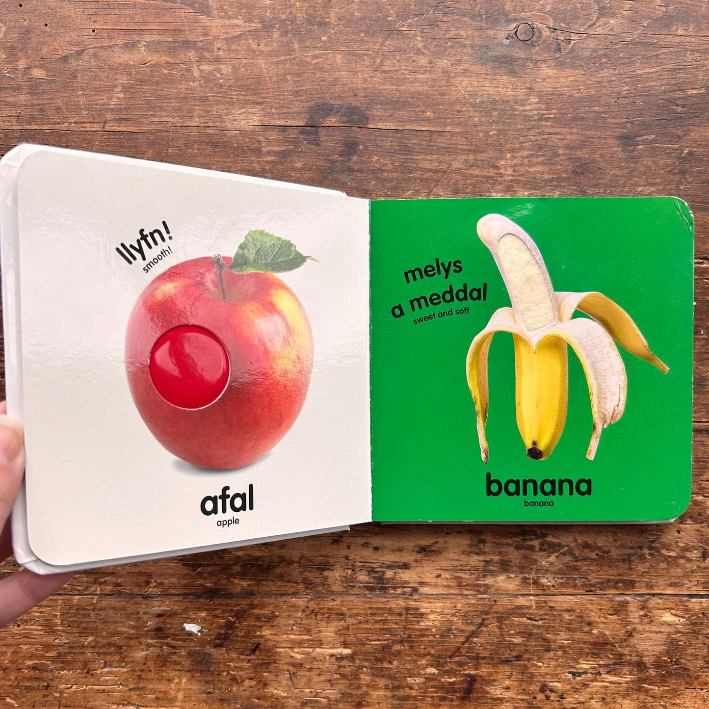 Babi Cyffwrdd a Theimlo - Amser Bwyd / Baby Touch and Feel: Mealtime (Preloved)