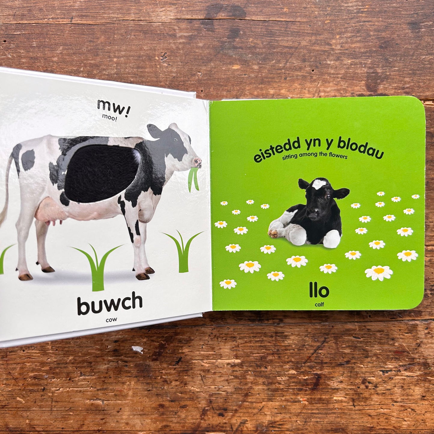 Babi Cyffwrdd a Theimlo - Anifeiliaid Fferm / Baby Touch and Feel: Farm Animals (Preloved)