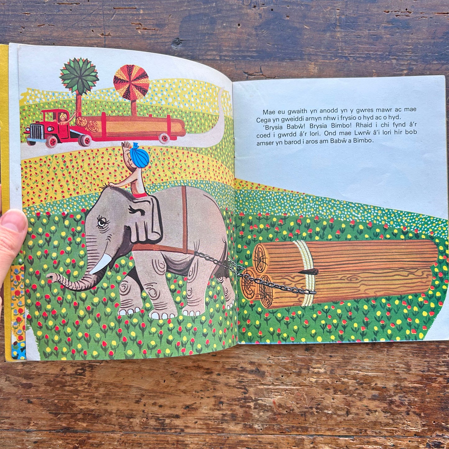 Babw a Bimbo - Cyfres Sgwrs a Stori 2 (Preloved)