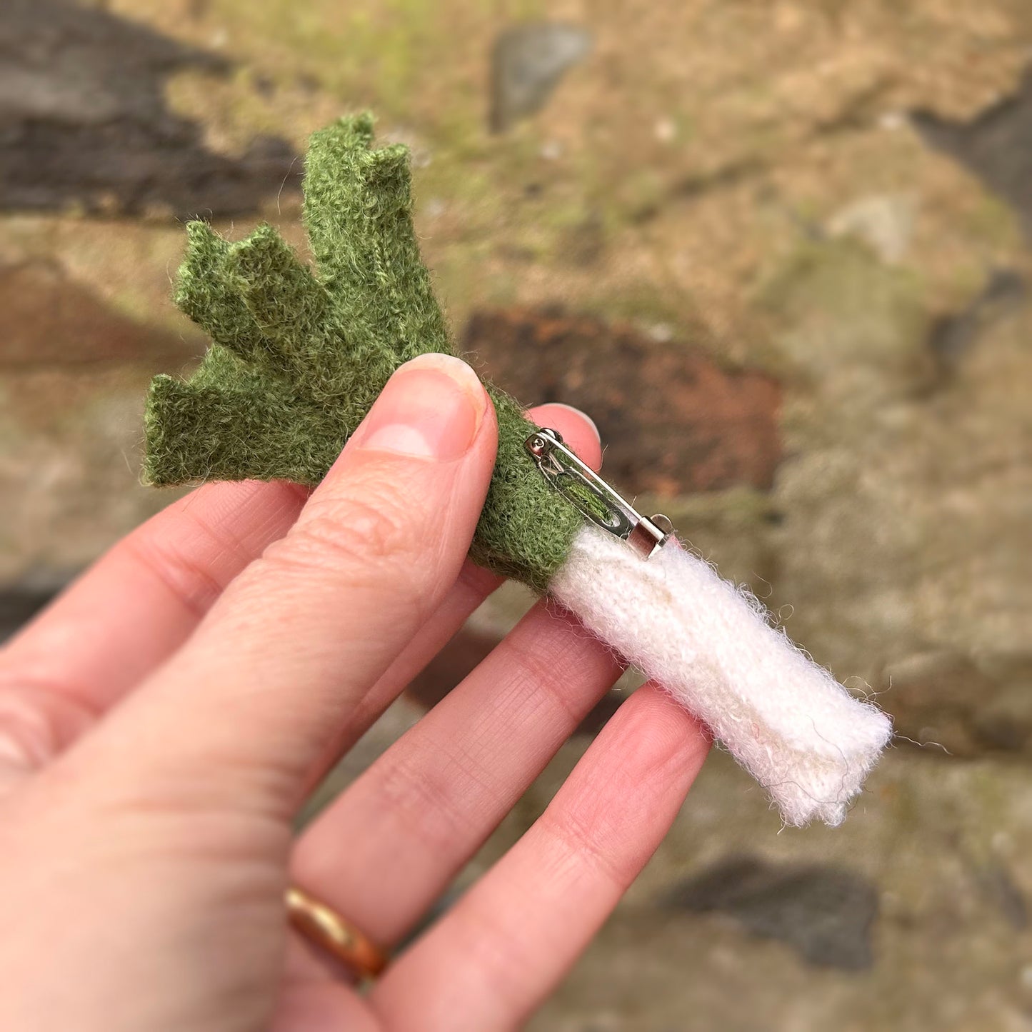 Bathodyn / Tlws - Cennin Pedr Gwlân