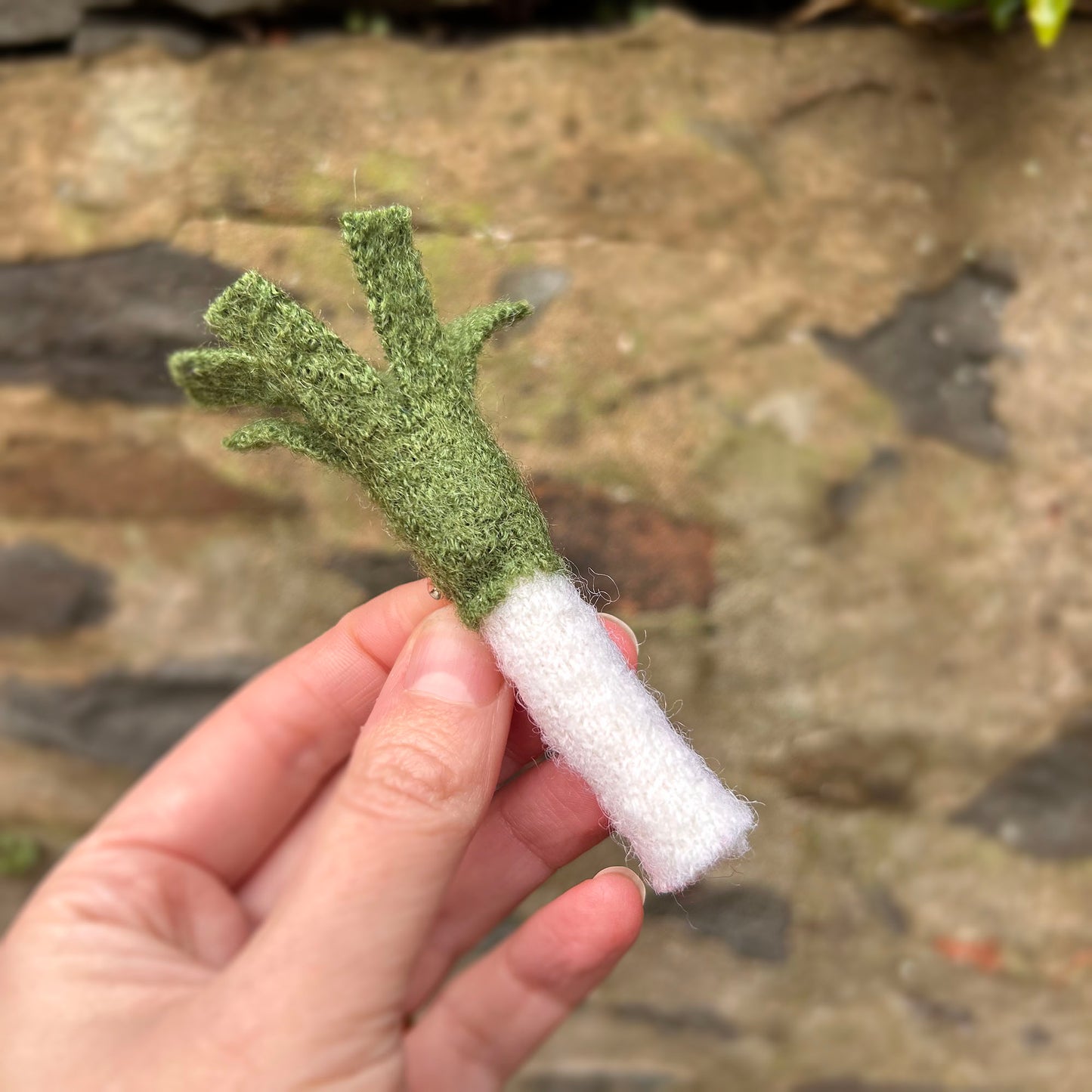 Bathodyn / Tlws - Cennin Pedr Gwlân