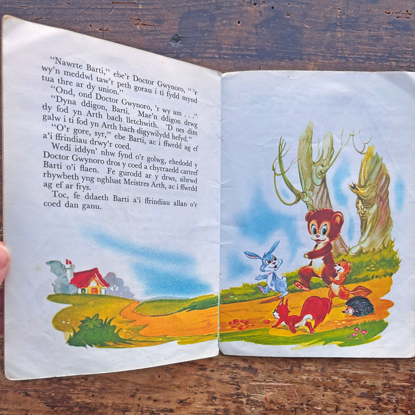 Barti a'i Barti Penblwydd - Cyfres y Frân Wen (Preloved)