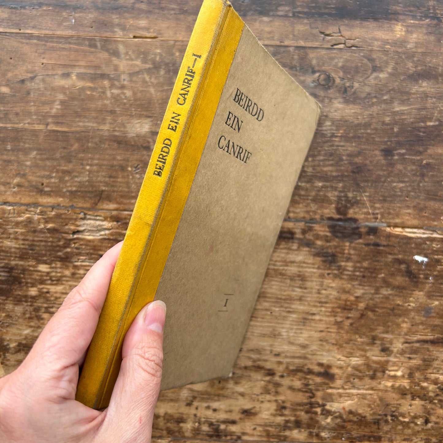 Beirdd Ein Canrif - Llyfr I - Welsh Poetry - 1941 (Preloved)