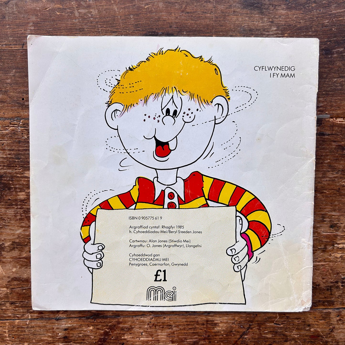 Ben Dramwnwgl - Beryl Steeden Jones - 1985 (Preloved)