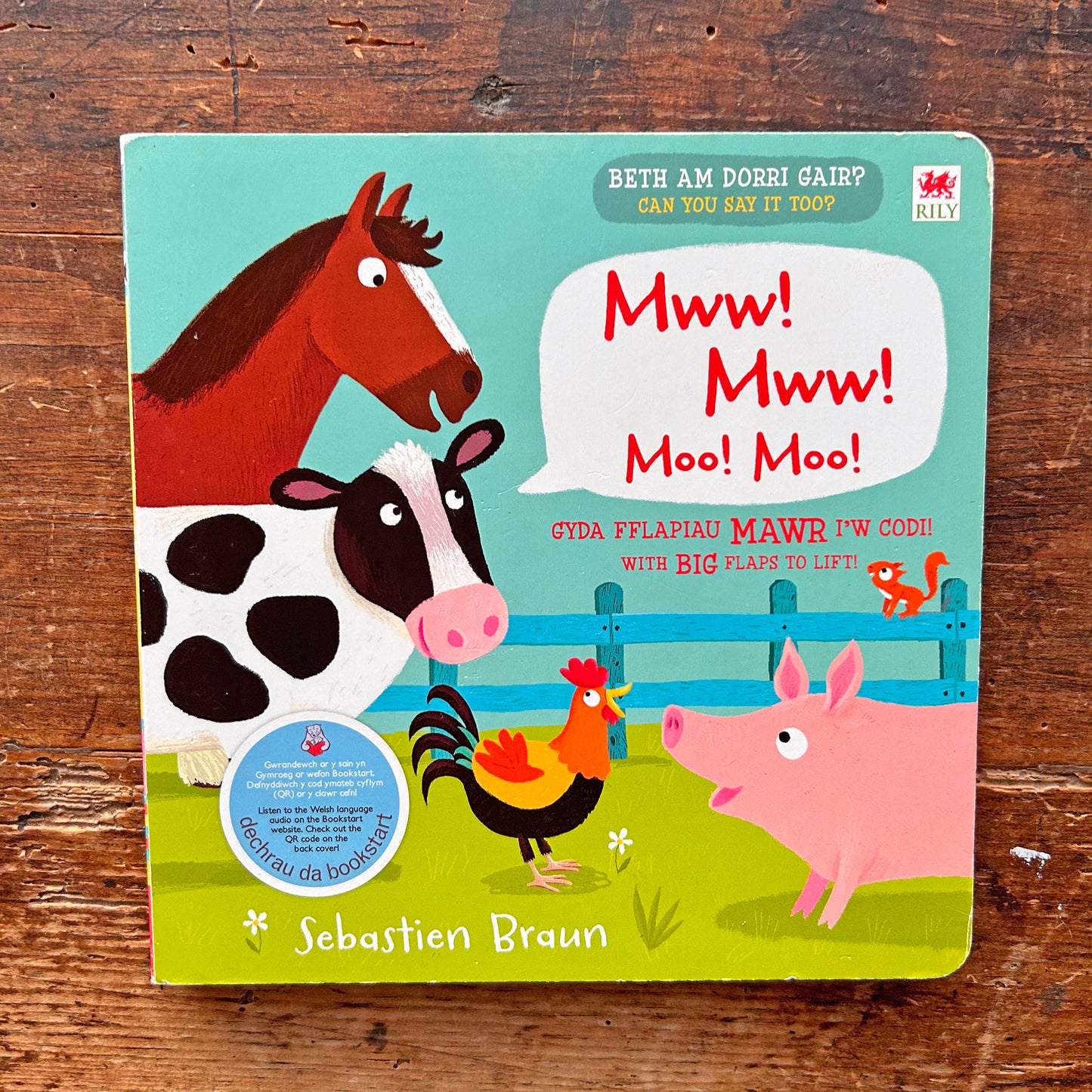 Beth am Dorri Gair? Mww! Mww!  (Preloved)