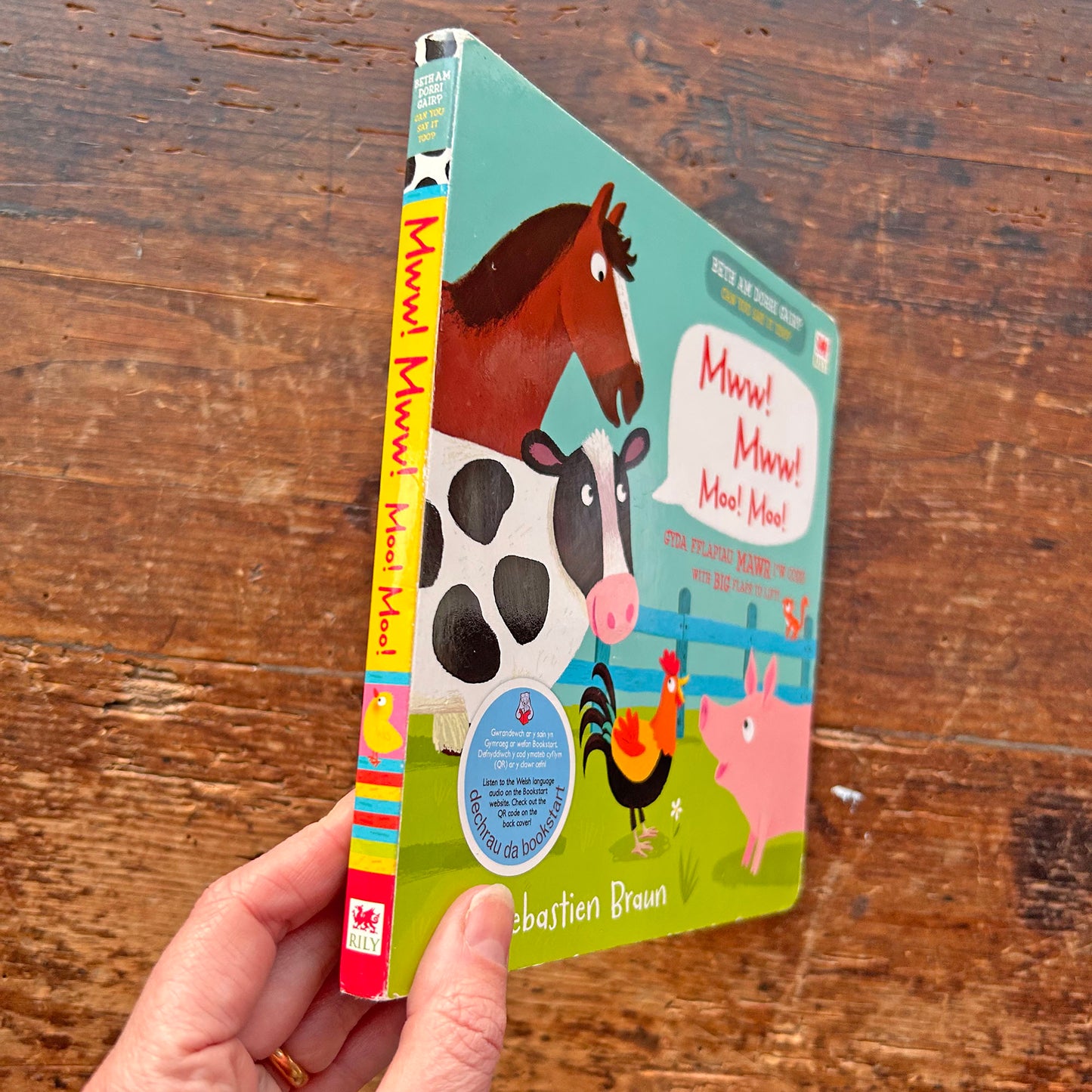 Beth am Dorri Gair? Mww! Mww!  (Preloved)