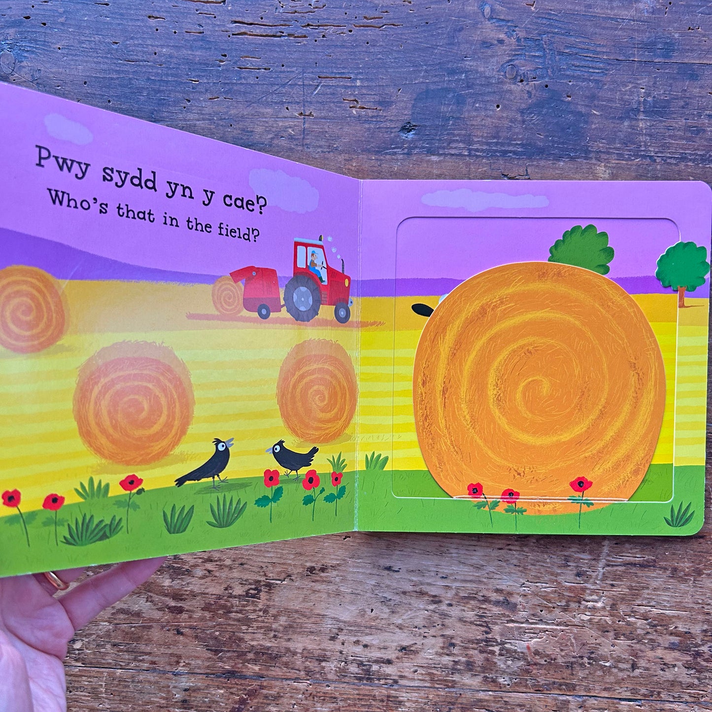 Beth am Dorri Gair? Mww! Mww!  (Preloved)