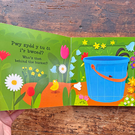 Beth am Dorri Gair? Mww! Mww!  (Preloved)