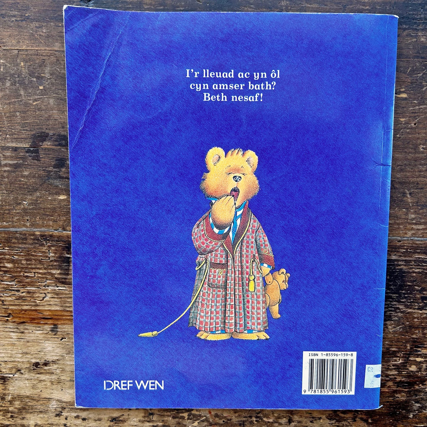 Beth Nesaf? Whatever Next? Jill Murphy - 1995 (Preloved)