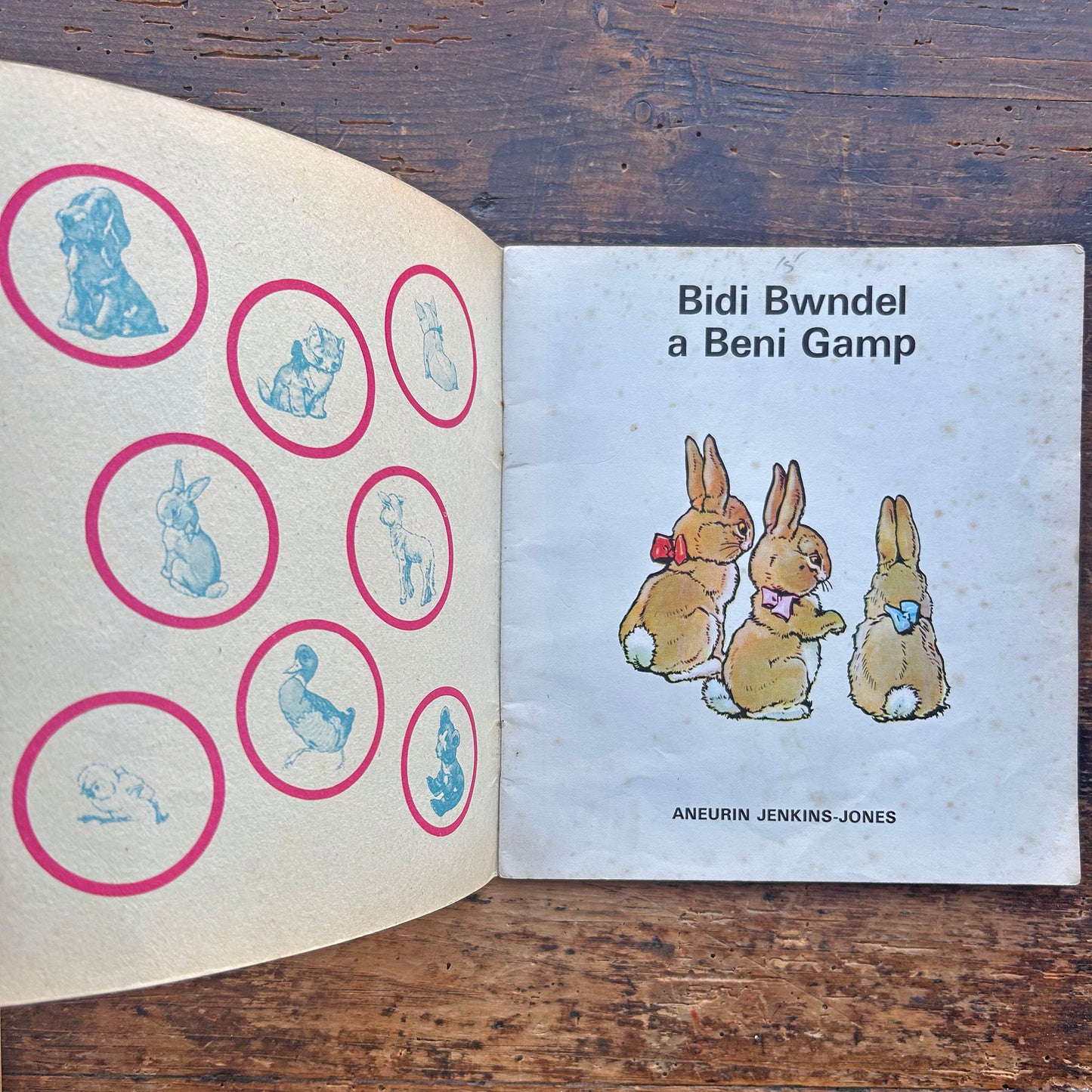 Bidi Bwndel a Beni Gamp - Cyfres y Frân Wen - 17 (Preloved)