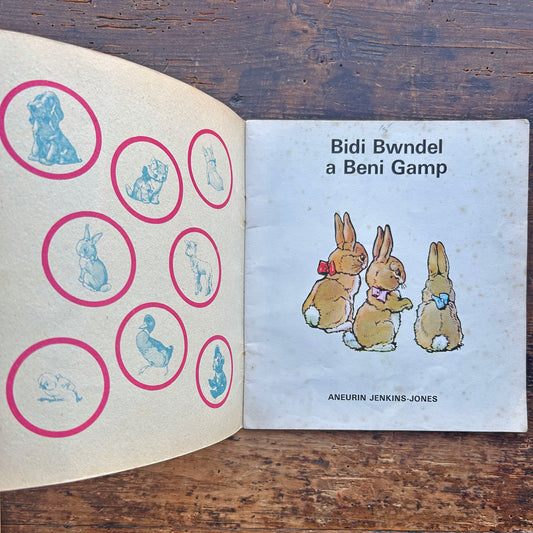 Bidi Bwndel a Beni Gamp - Cyfres y Frân Wen - 17 (Preloved)