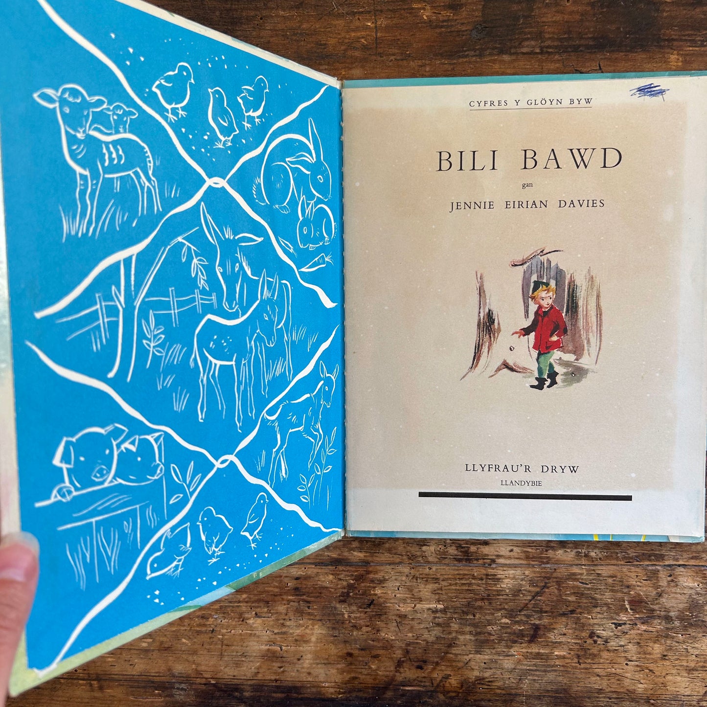 Bili Bawd - Jennie Eirian Davies 1961 (Preloved)