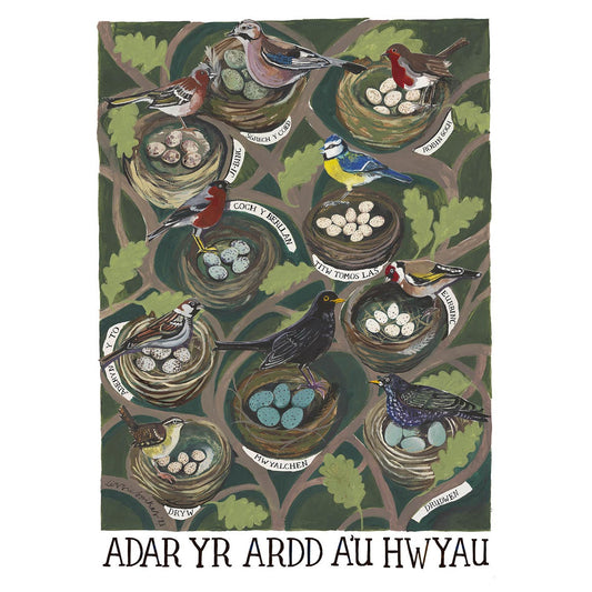 Poster / Print - Garden Birds & Eggs - Adar Yr Ardd A’u Hwyau - A3