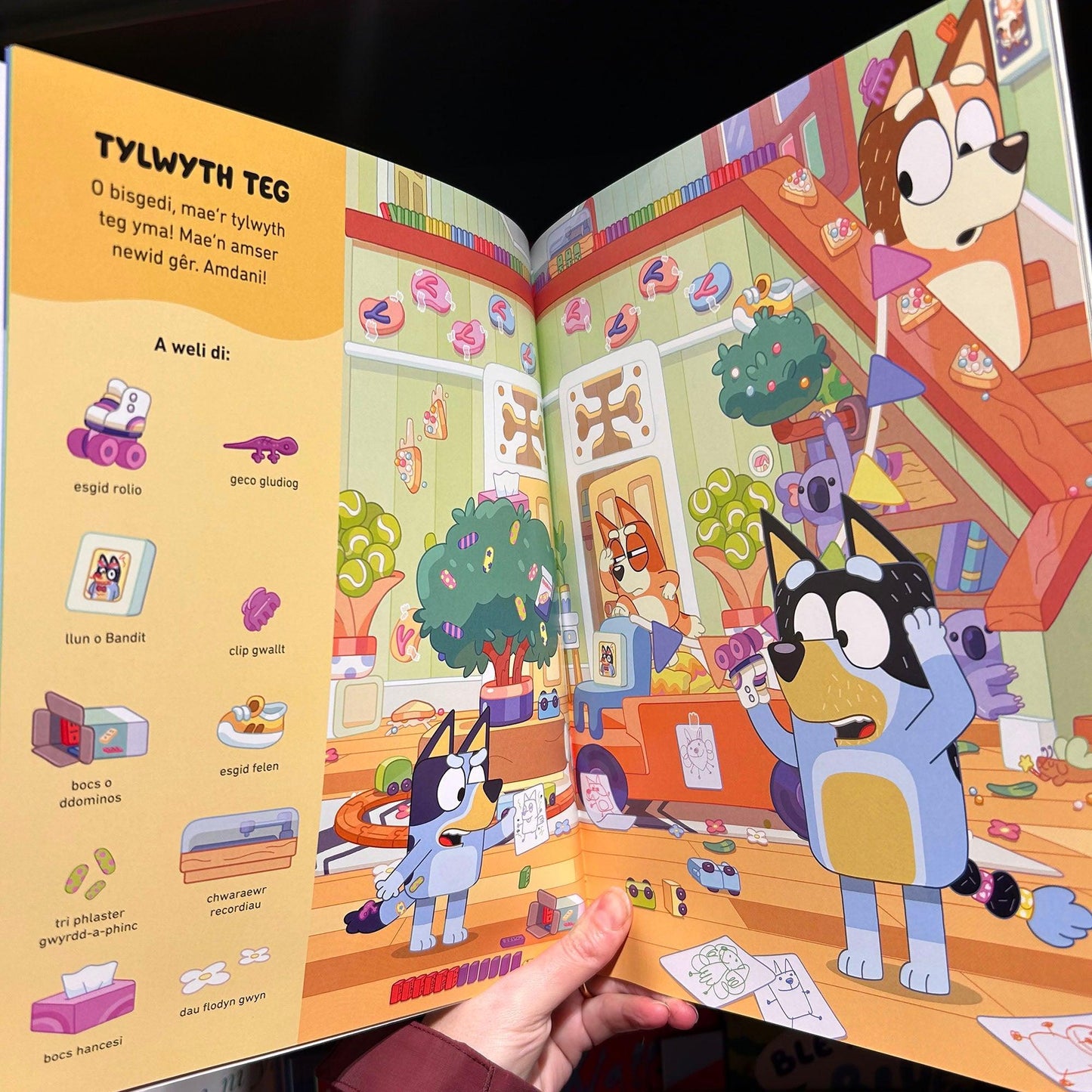 Ble Mae Bluey? Ble mae Bluey? Iaith Gymraeg