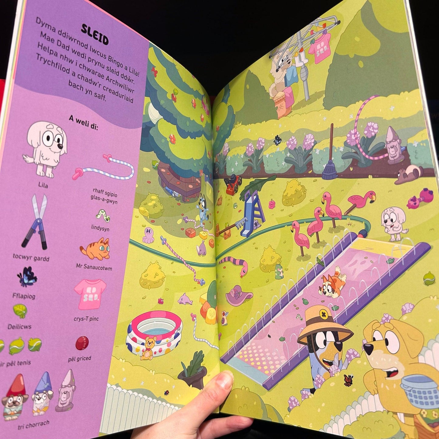 Ble Mae Bluey? Ble mae Bluey? Iaith Gymraeg