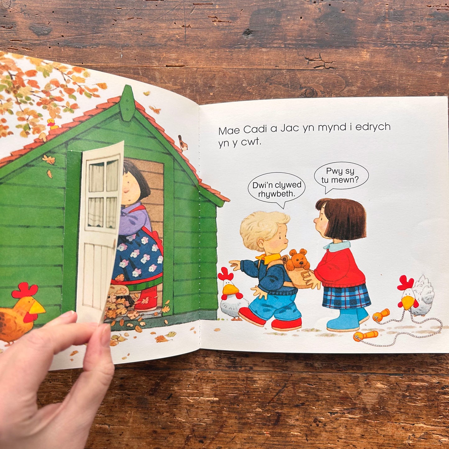 Ble Mae Gwalch? Llyfr Codi Llabed Cae Berllan (Preloved)