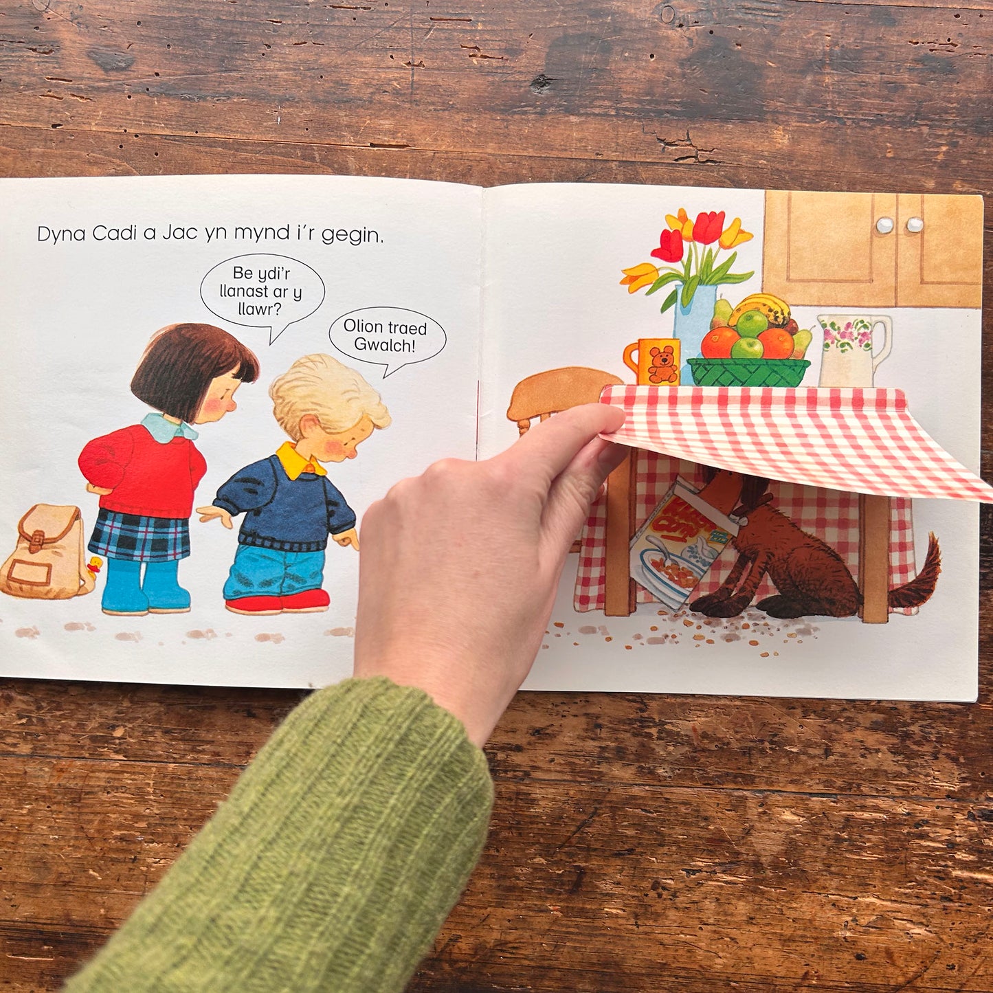 Ble Mae Gwalch? Llyfr Codi Llabed Cae Berllan (Preloved)