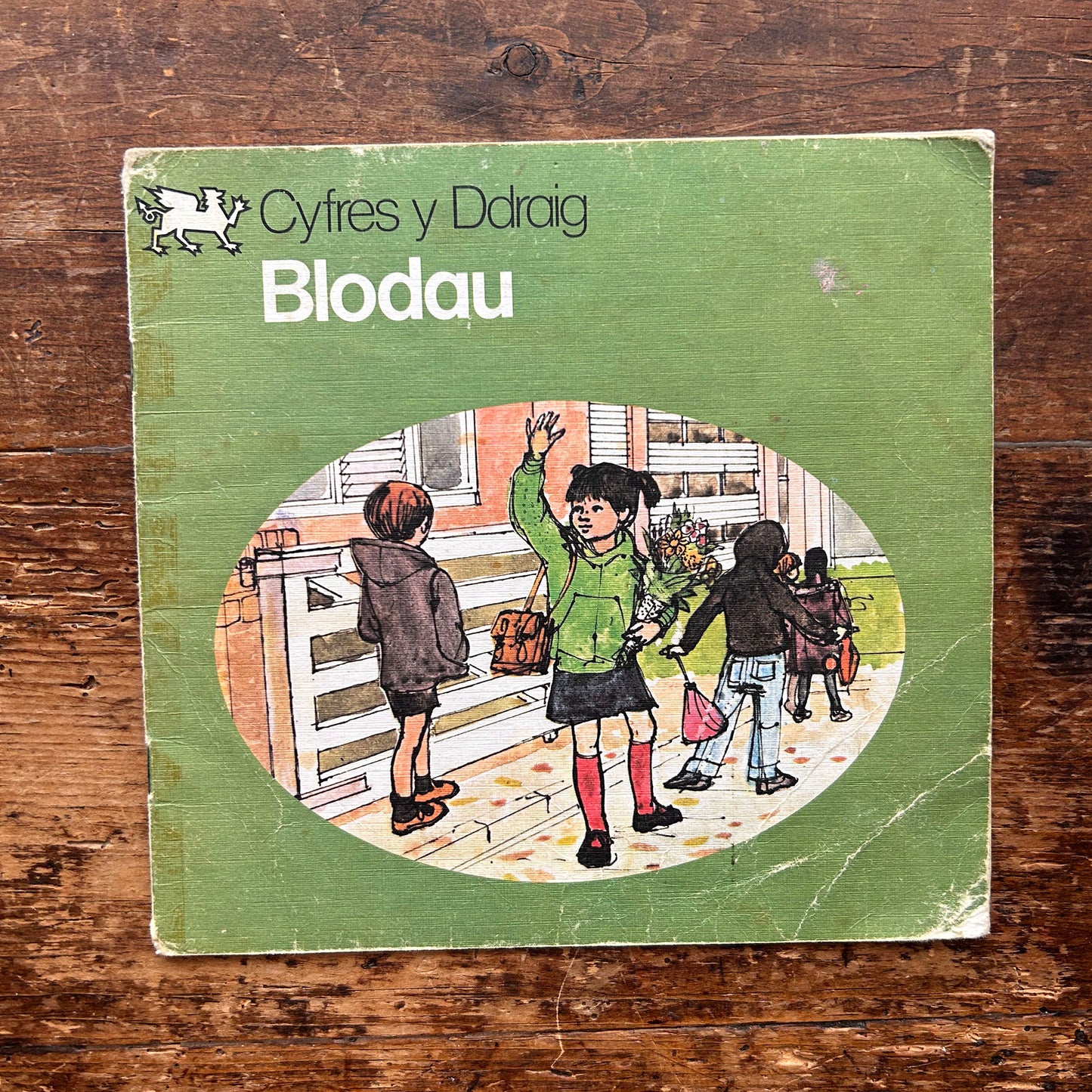 Blodau - Cyfres y Ddraig - Vintage Welsh Book 1978 (Preloved)