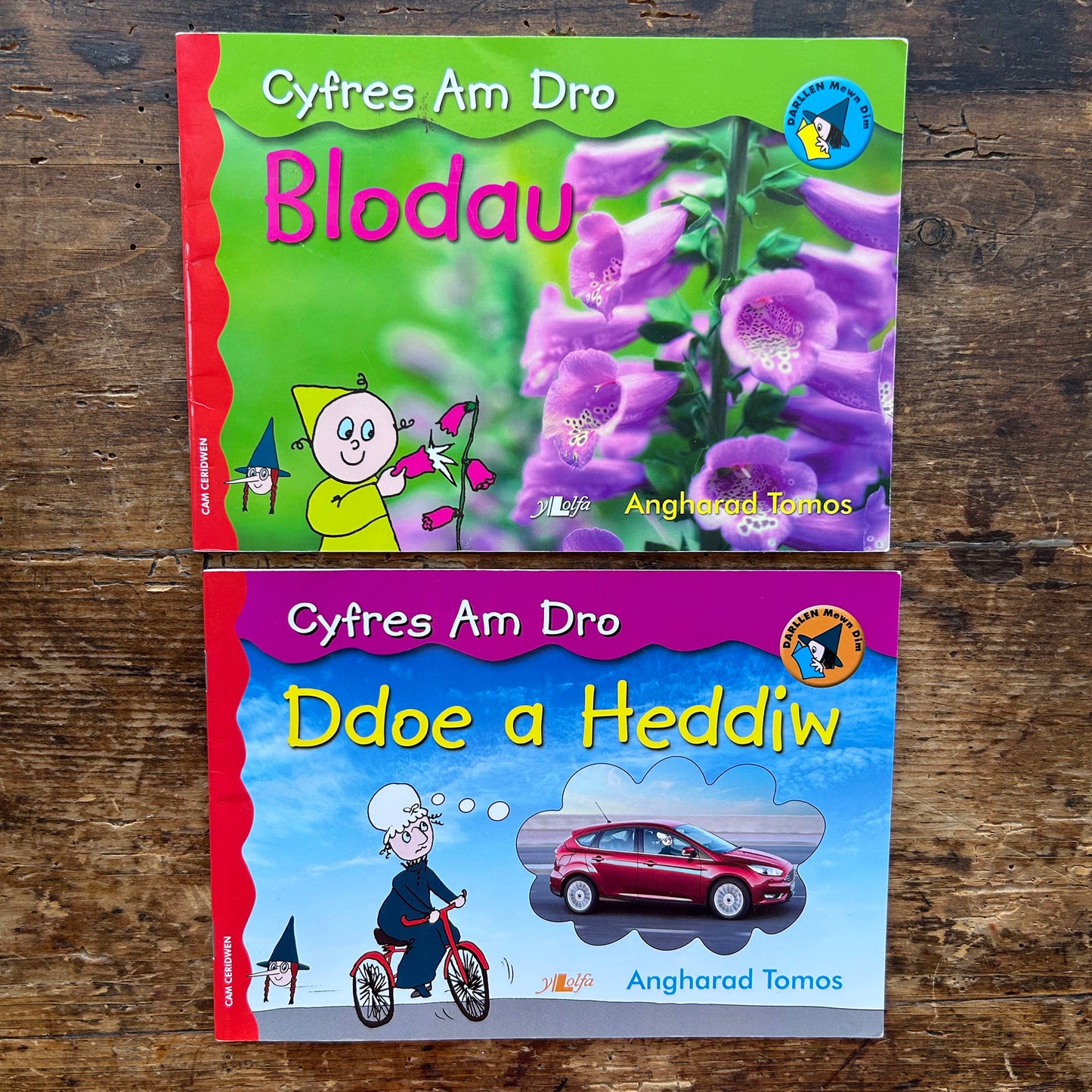 Blodau & Ddoe a Heddiw - Cyfres am Dro (Preloved)