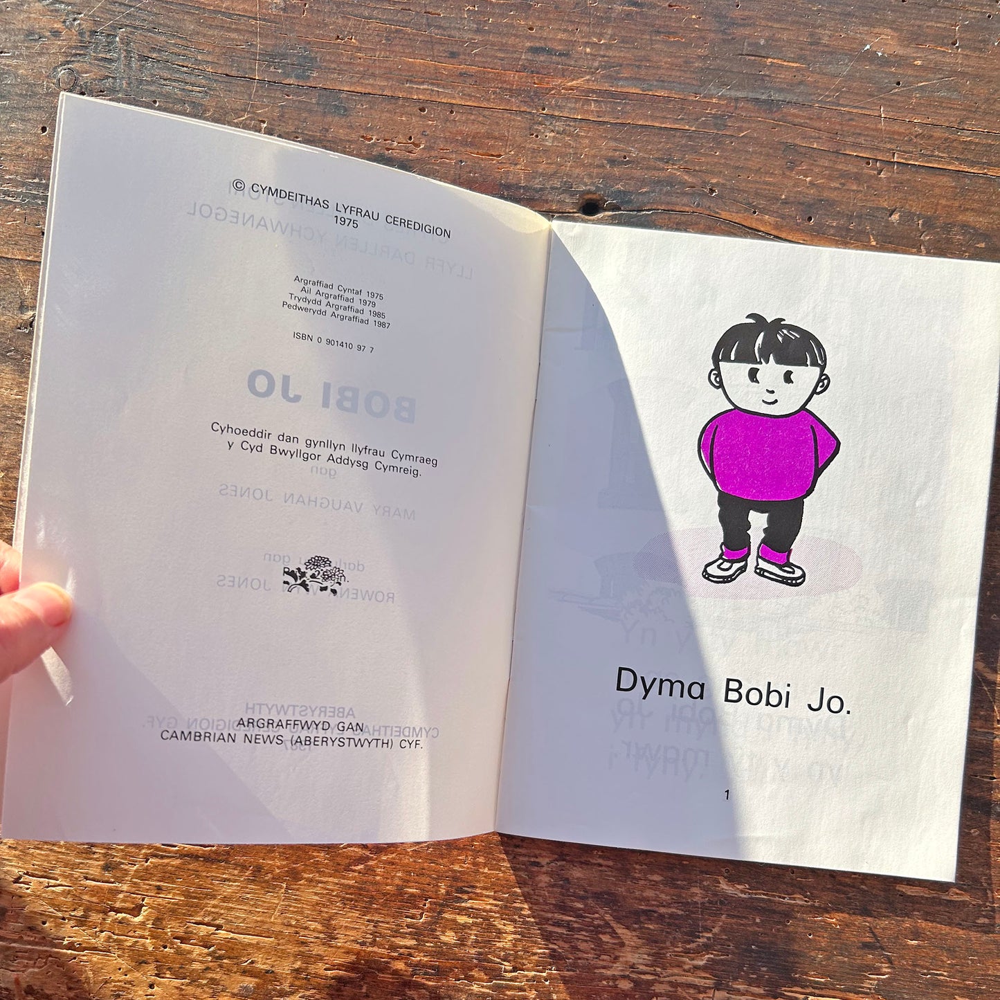 Bobi Jo - Mary Vaughan Jones (Preloved)