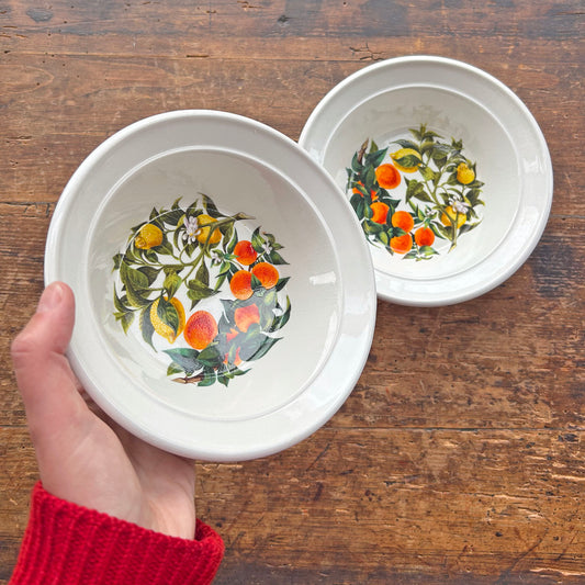 Bowls - Vintage Porthmeirion / Portmeirion - Oranges and Lemons - Set of 2 (Preloved)