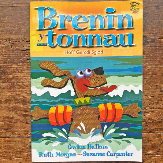 Brenin y Tonnau - Hoff Gerddi Sglod - Cyfres Llyffantod (Preloved)