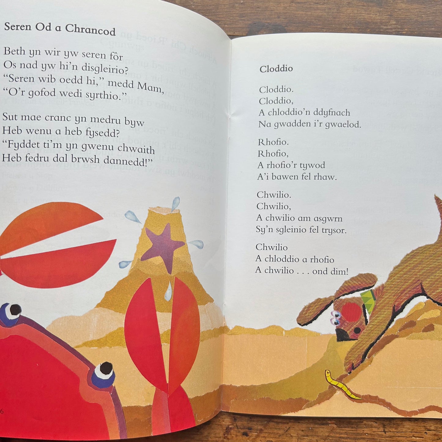 Brenin y Tonnau - Hoff Gerddi Sglod - Cyfres Llyffantod (Preloved)