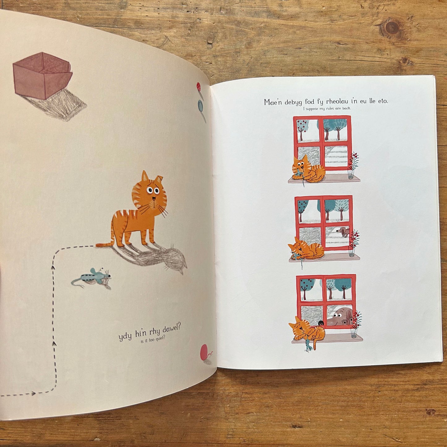 Brenin y Ty - The King Cat (Preloved)