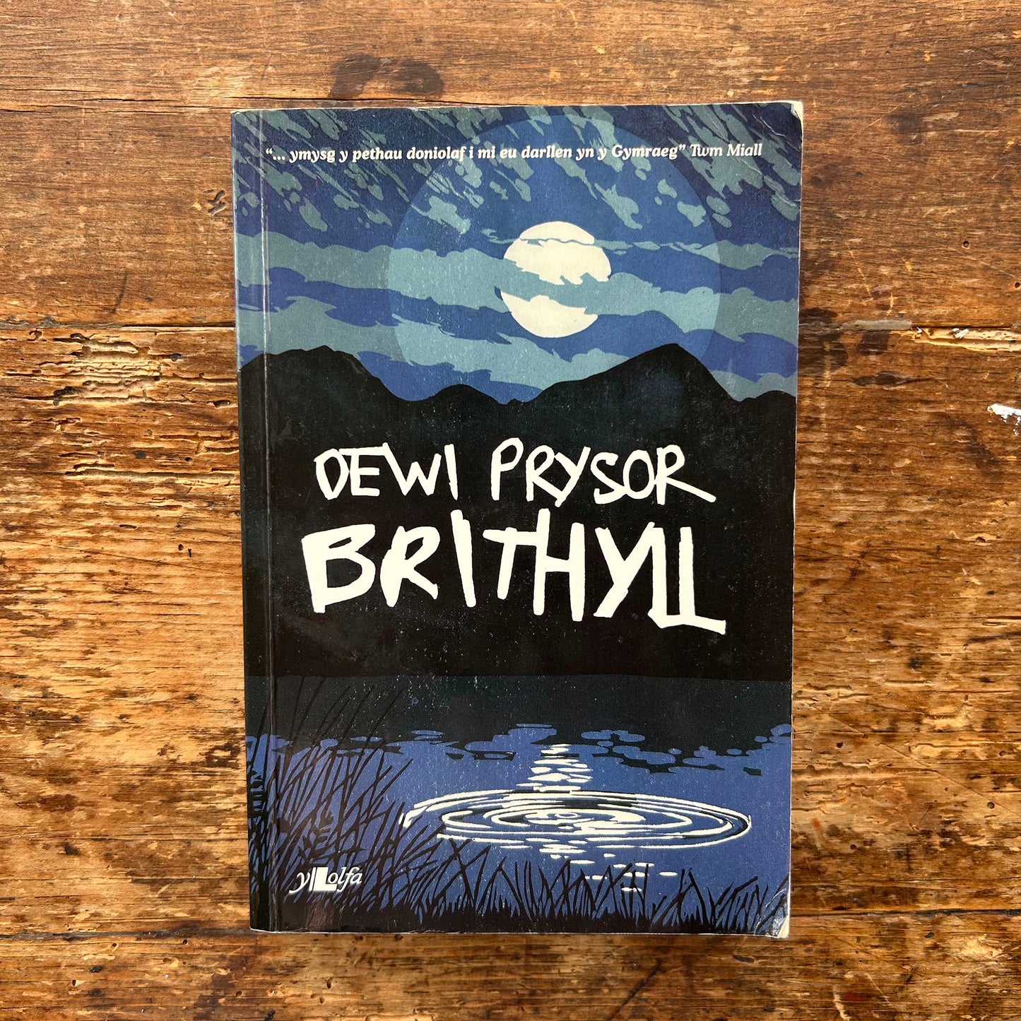 Cymeriadau'r Beibl - Cymeriadau Beiblaidd 1957 (Preloved)