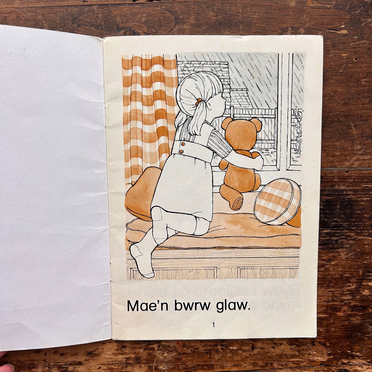 Bwrw Glaw - Cyfres y Ddraig - Vintage Welsh Book 1978 (Preloved)