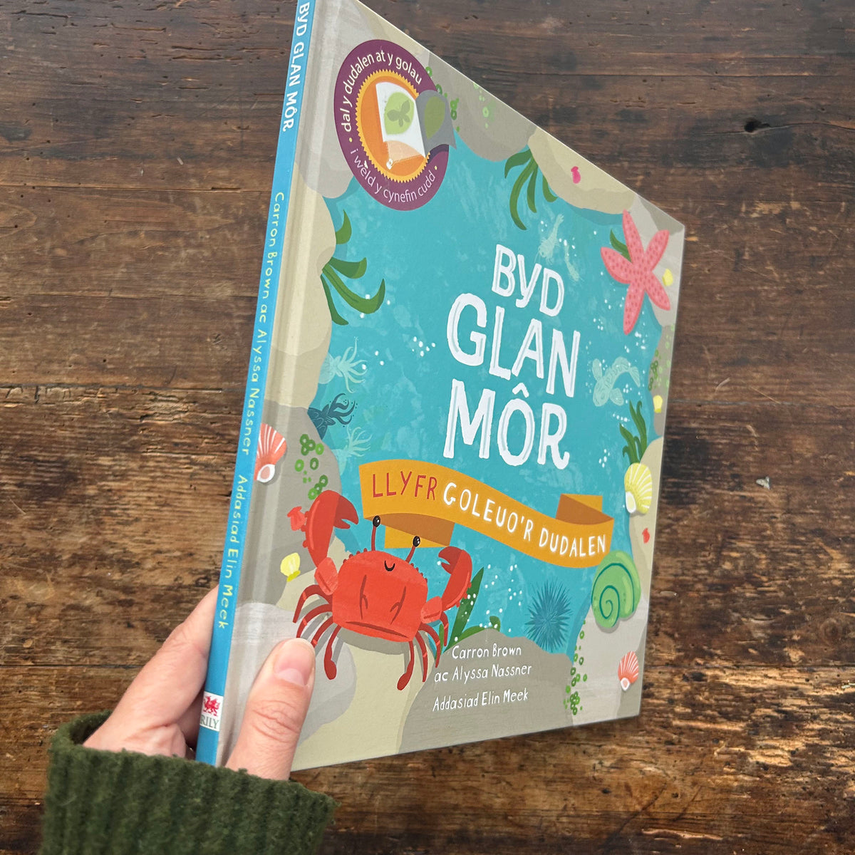 Byd Glan Mor - Llyfrau Goleuo'r Dudalen (Preloved)