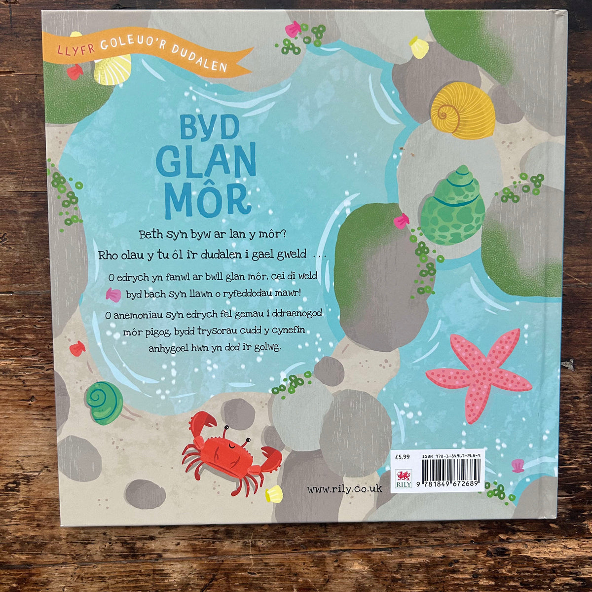 Byd Glan Mor - Llyfrau Goleuo'r Dudalen (Preloved)