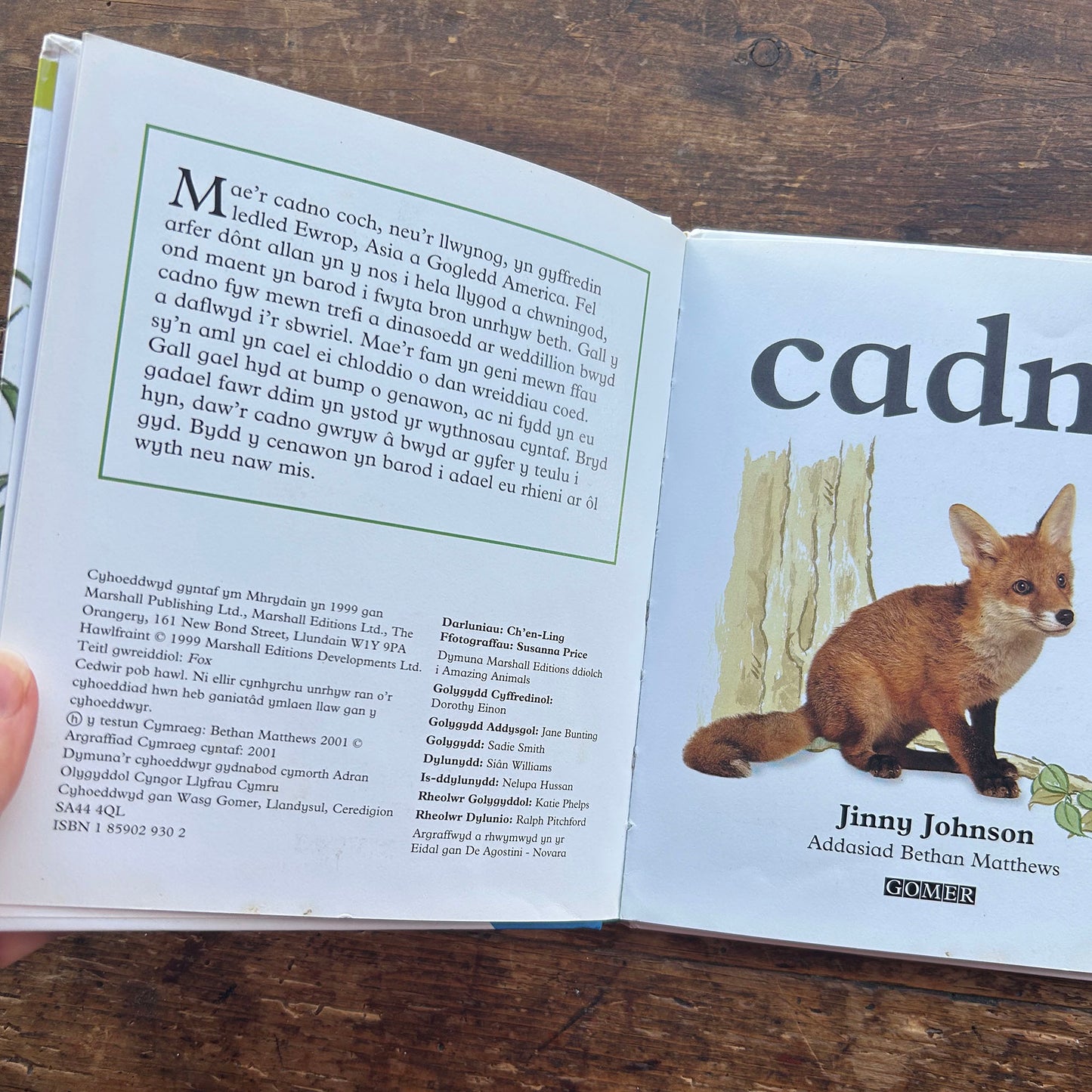 Cadno - Anifeiliad Bach Gwylltt (Preloved)
