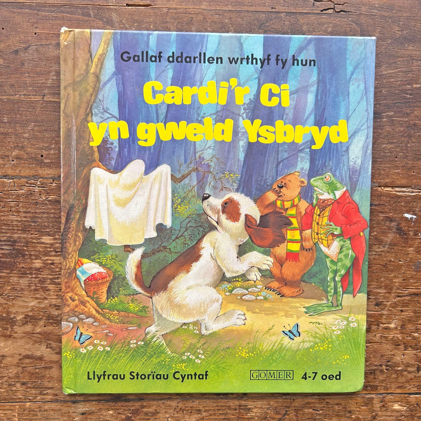 Cardi'r Ci Yn Gweld Ysbryd - Vintage Welsh Book 1986 (Preloved)