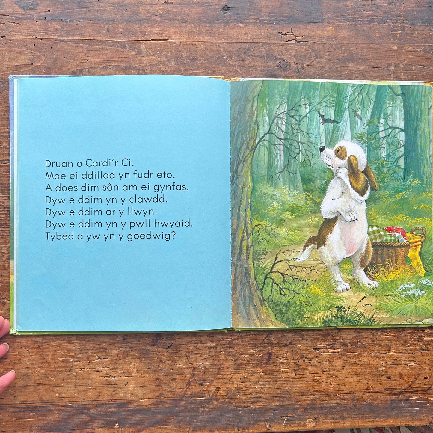 Cardi'r Ci Yn Gweld Ysbryd - Vintage Welsh Book 1986 (Preloved)