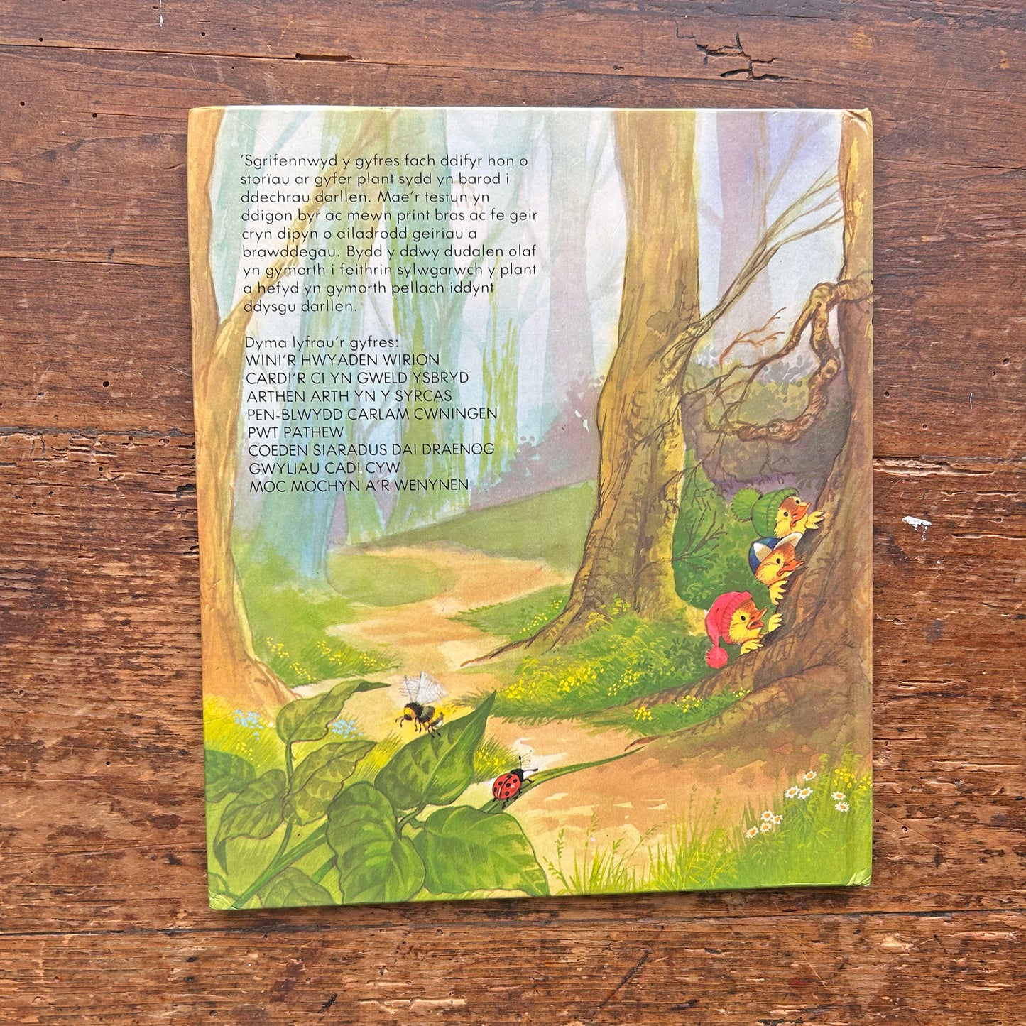 Cardi'r Ci Yn Gweld Ysbryd - Vintage Welsh Book 1986 (Preloved)