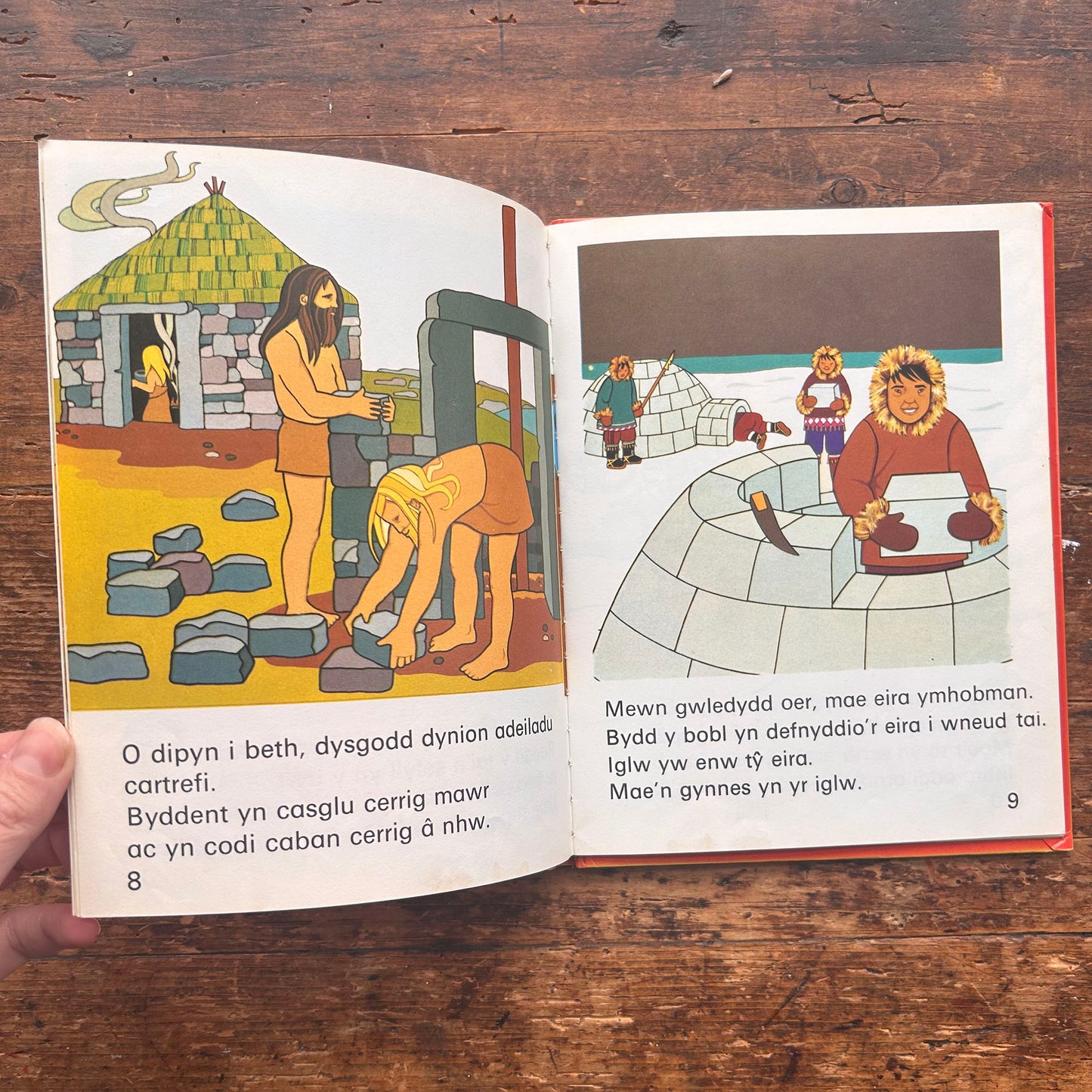 Cartrefi - Agor y Llenni - 1974 (Preloved)