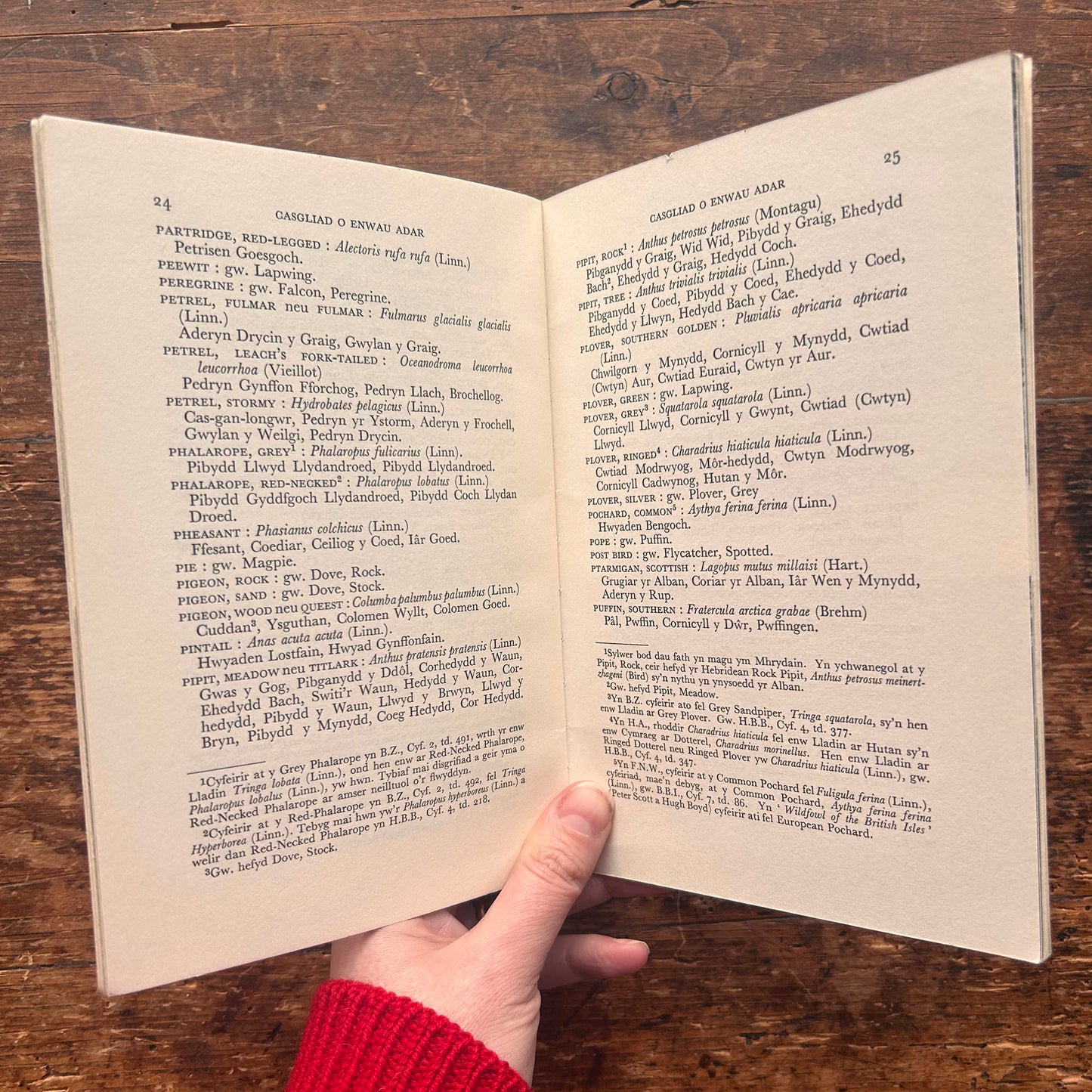Casgliad o Enwau Adar - Bird Names - 1962 (Preloved)